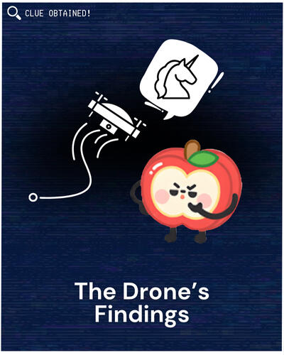 The Drone&#39;s Findings